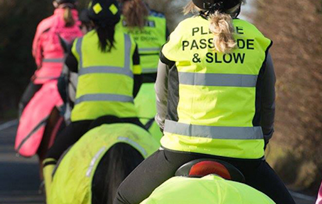 HighVis.jpeg