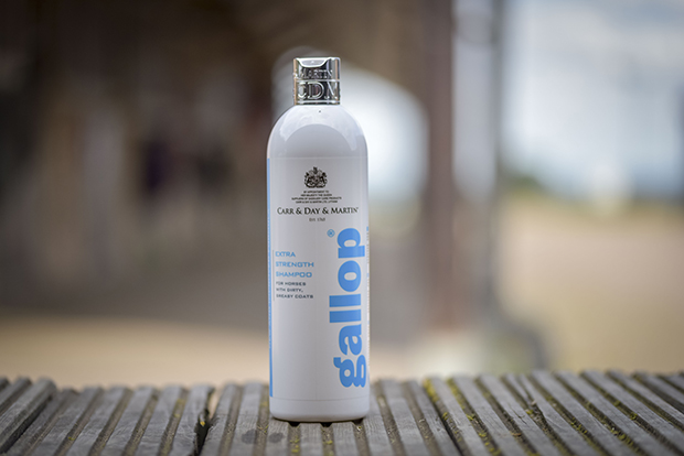 Carr &amp;amp; Day &amp;amp; Martin Gallop Extra Strength shampoo