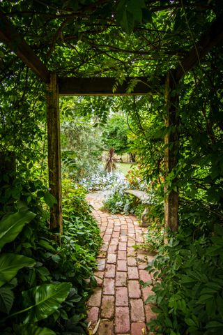 Aged garden path creates walkway under a pergola through to the garden