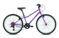 Guardian 24-inch Guardian 24-inch
