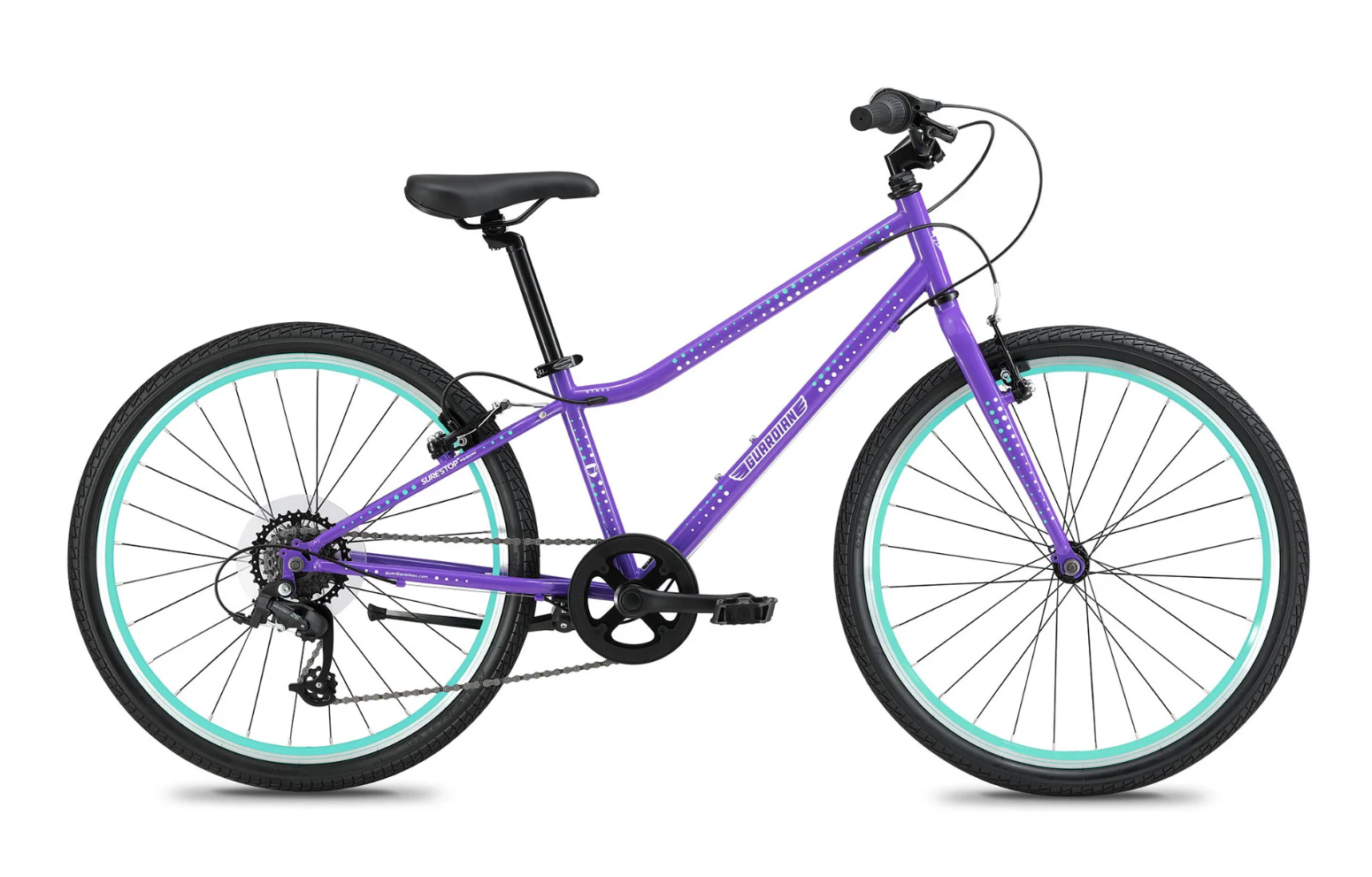 Guardian 24-inch bike