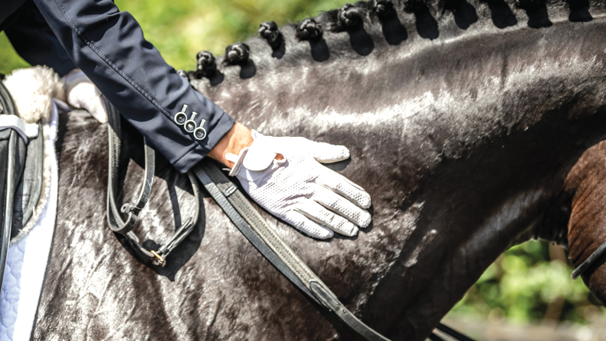 The definition of harmony in dressage has come under discussion.