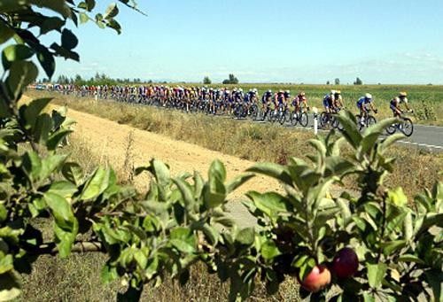 The bunch rides between Leon and Valladolid
