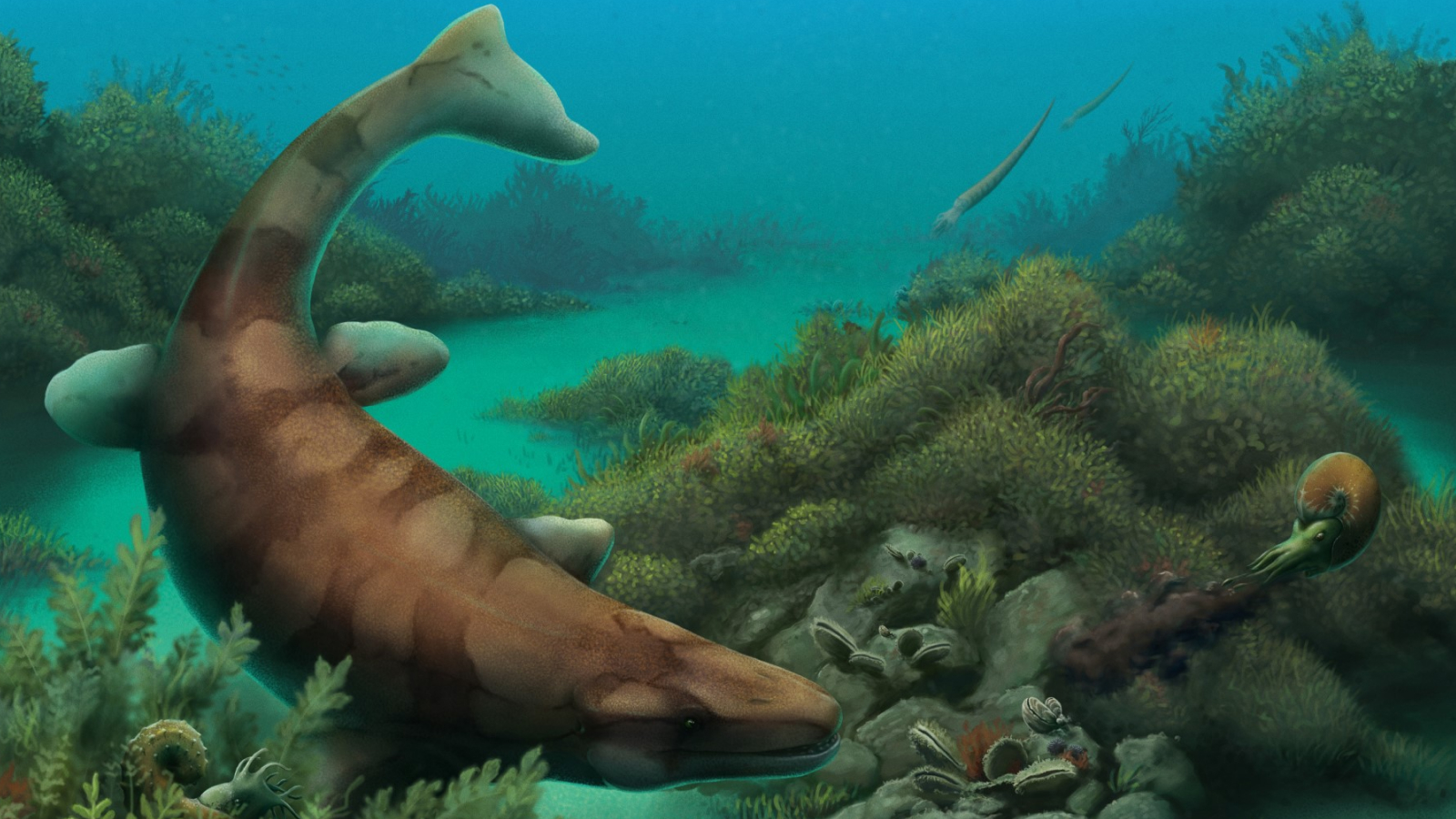 80 million-year-old sea monster jaws filled with giant globular teeth ...