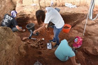 Archaeologists excavate and scan the burials.