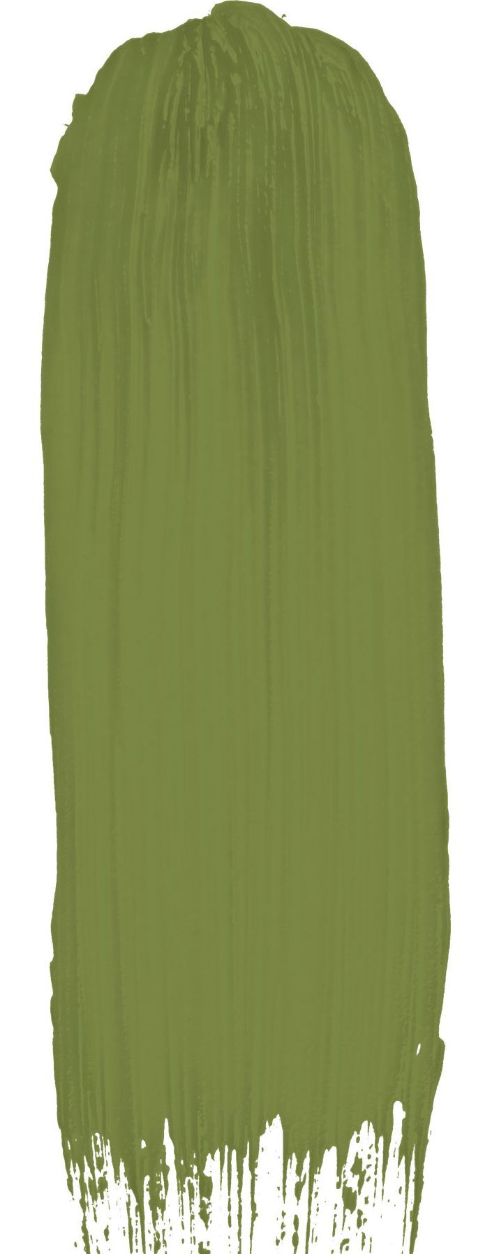 Natural Beauty How to decorate with Olive Green