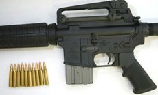 The Bushmaster rifle is a military-grade weapon used in the Newtown massacre.