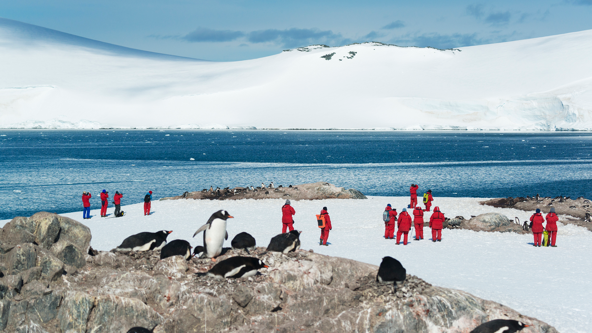 A group of people wearing red polar suits look at small penguins on rocky cliffs.