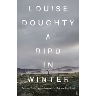 A Bird In Winter, Louise Doughty