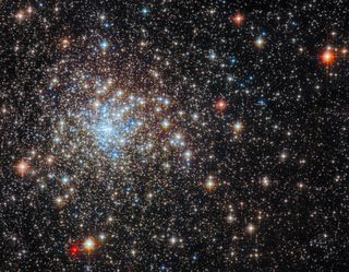 a dense field of stars