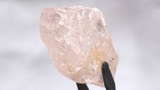 The Lulo Rose is the largest pink diamond found in 300 years, and could become the single most expensive gemstone ever sold.