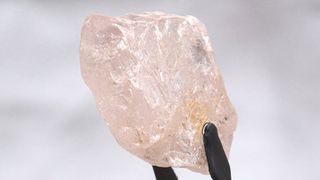 The Lulo Rose is the largest pink diamond found in 300 years, and could become the single most expensive gemstone ever sold.
