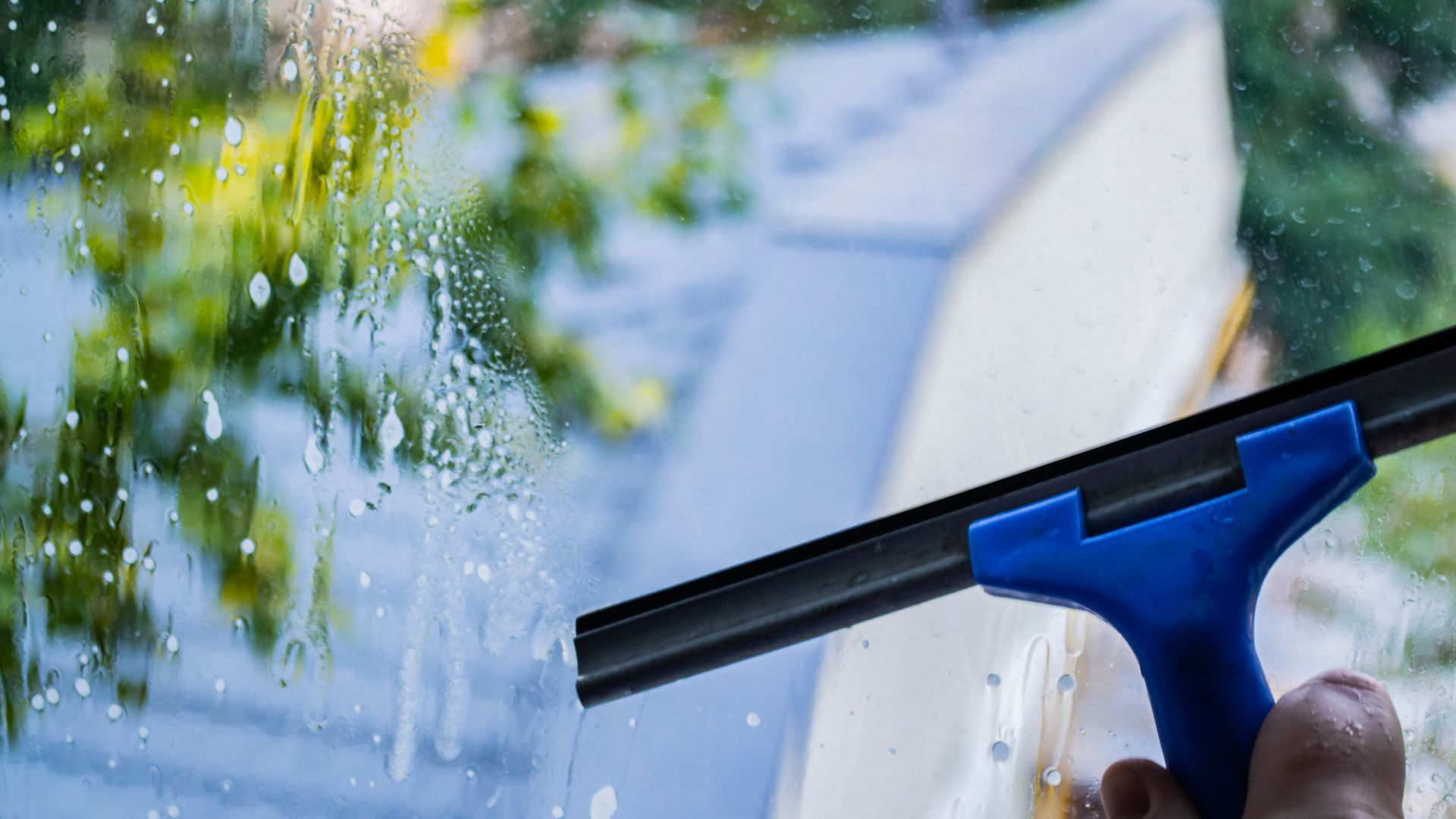 - picture of person using squeegee on window pane