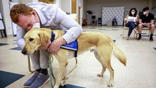A golden retriever assistance dog getting a hug from his human at a PTSD support group