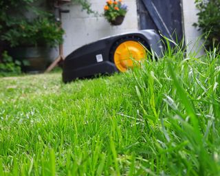Landxcape robot lawn mower with grass border