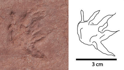 Paleontologists find dinosaur tracks in African diamond mine