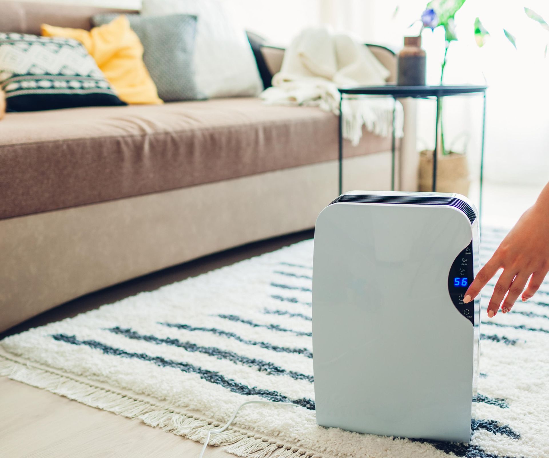 Does a dehumidifier make a room cooler? Experts explain | Homes and Gardens