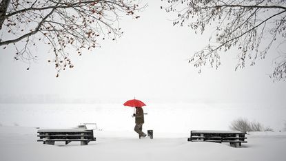 A man walks through snow covered banks of the Danube river in Zemun near Belgrade on February 12, 2012. Cold weather claimed seven more lives on Sunday in the Balkans -- two in Albania, one i