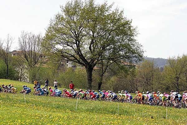 The first group pass through the Basque spring countryside - looking every bit the oil painting!