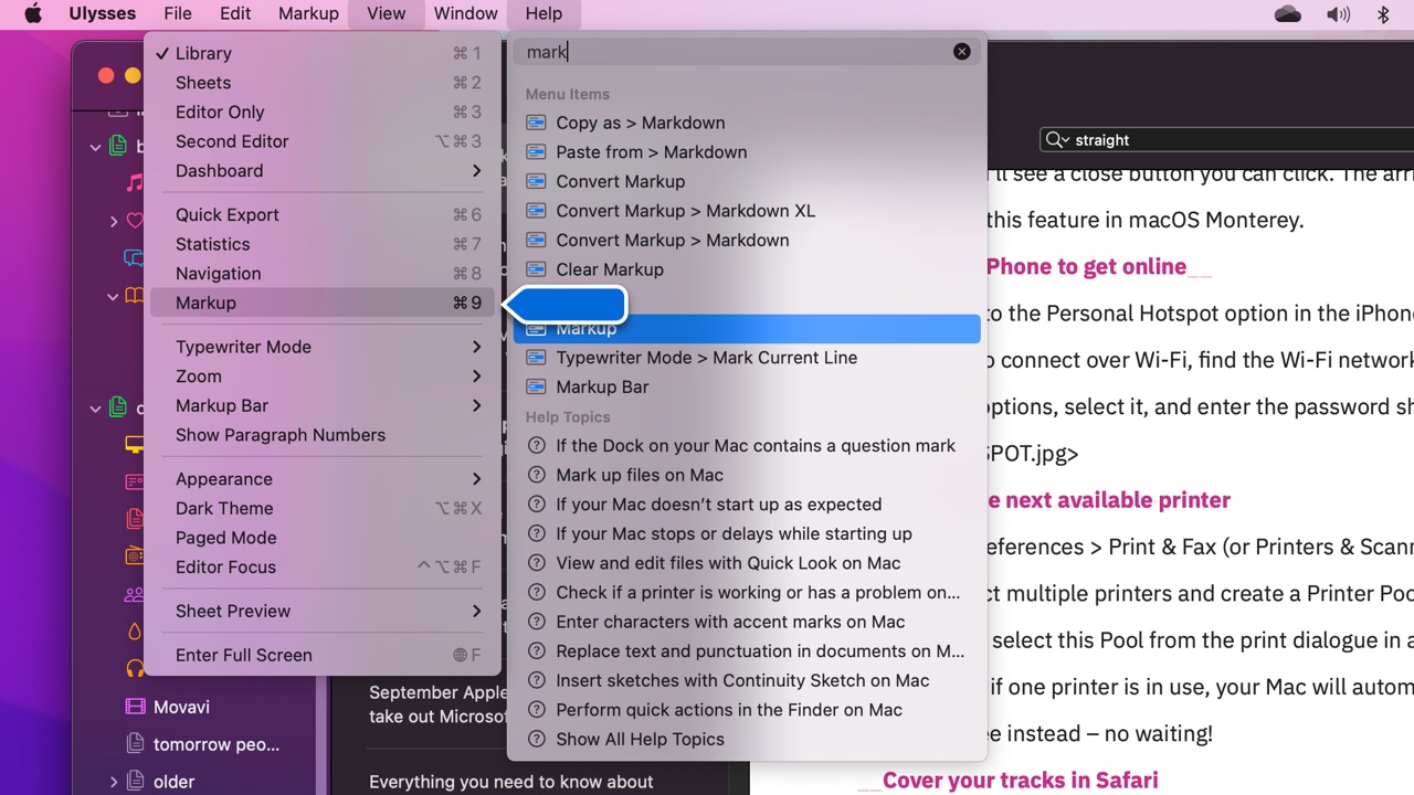 Screen shot showing macOS menu search feature