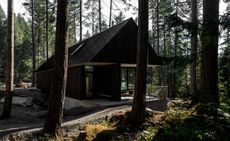 Forest House by SM Studio (photograph by Luis Valdizon)