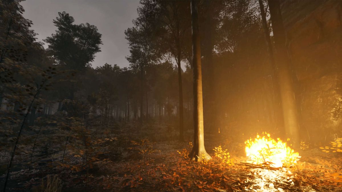 A campfire in a dark forest at twilight