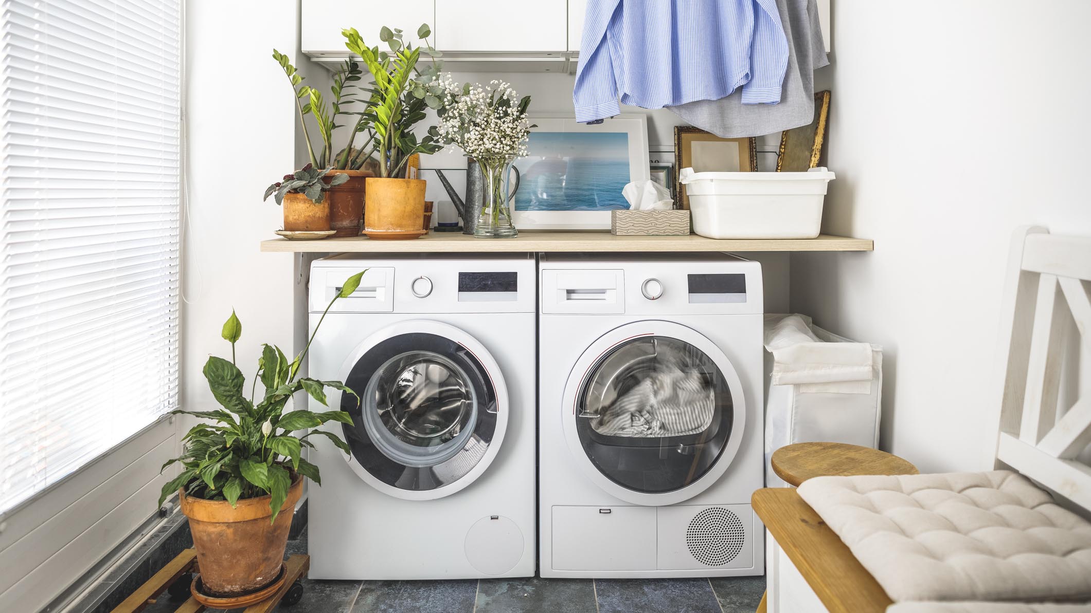 Image shows a washing machine and dryer set in a stylish laundry room filled with plants