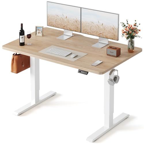 Fezibo 48-inch Standing Desk