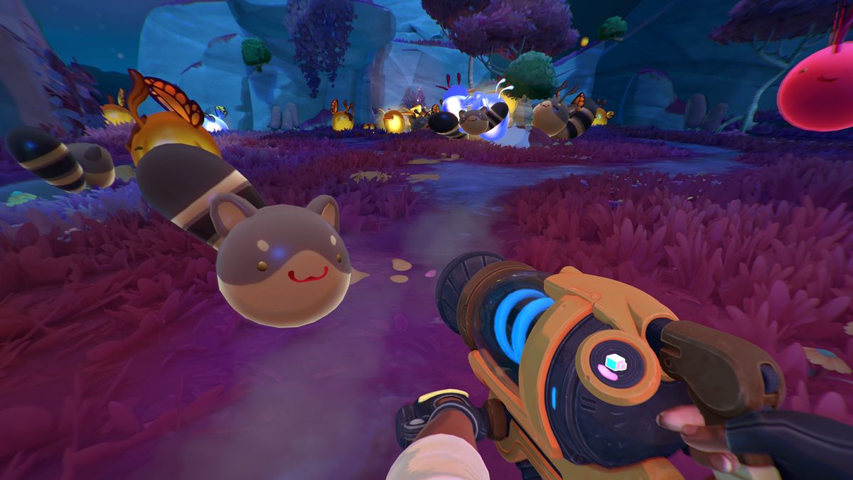Where to find Ringtail slimes in Slime Rancher 2