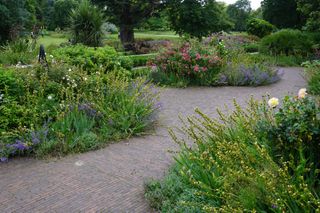 Sample photo shot on the Sony ZV-E10