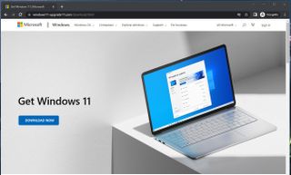 Fake Windows 11 Malware April