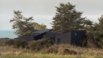 House of four ecologies, a coastal home in california, made of black geometries forms within greenery