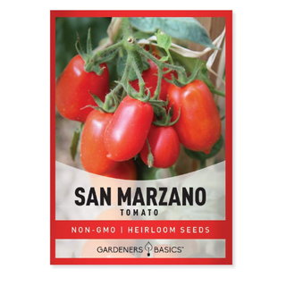 Packet of tomato seeds