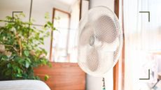 picture of fan in bedroom with plant in background