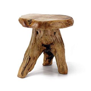 Welland Tree Stump Stool Live Edge, Natural Edge Side Table, Plant Stand, Nightstand, Mushroom Stool 14