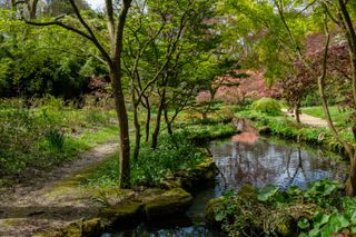 Exbury Gardens, Hampshire. Credit: Alamy