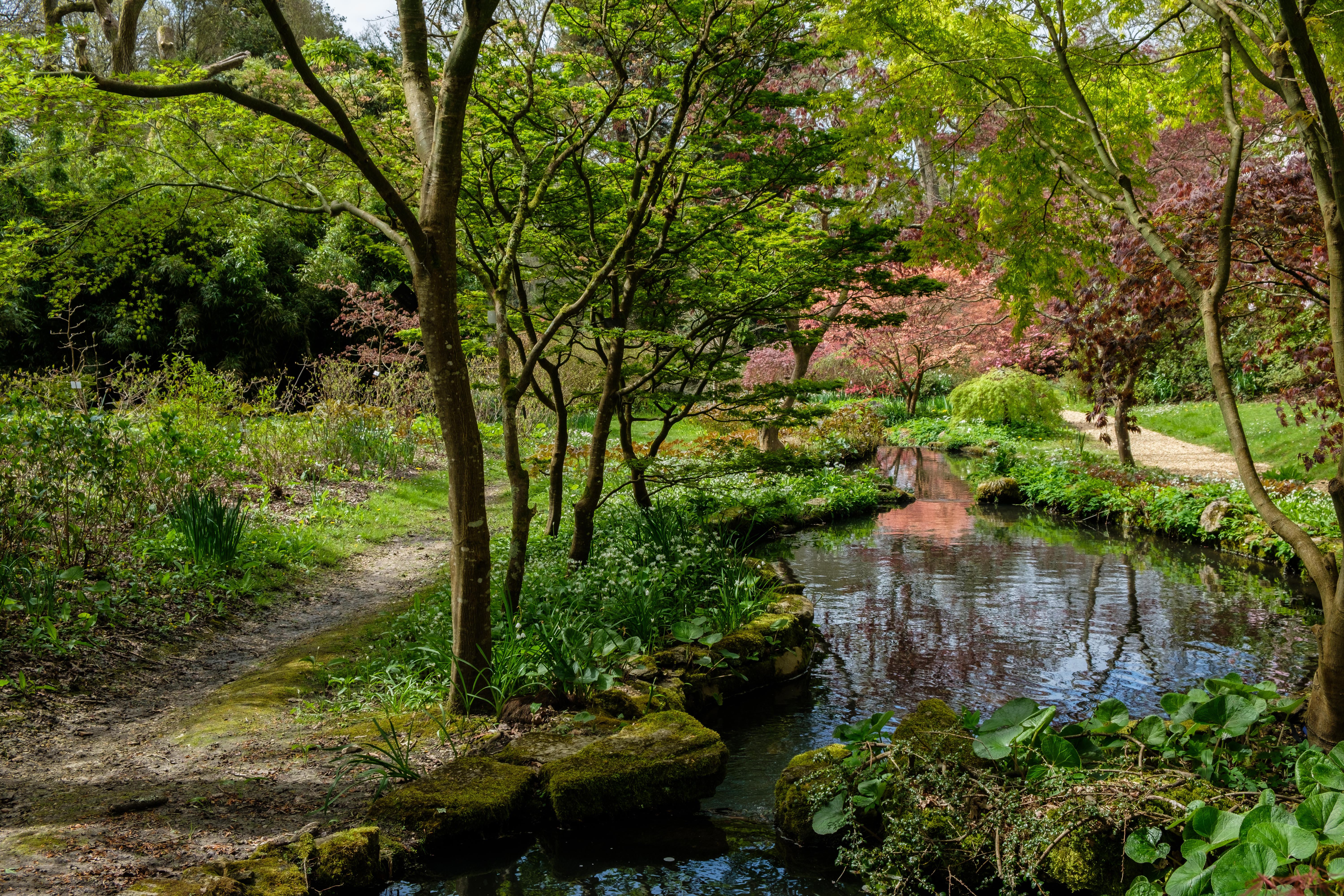 Exbury Gardens, Hampshire. Credit: Alamy