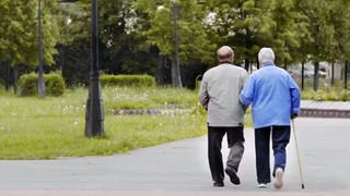 an older couple pictured walking arm in arm in a park, away from the camera