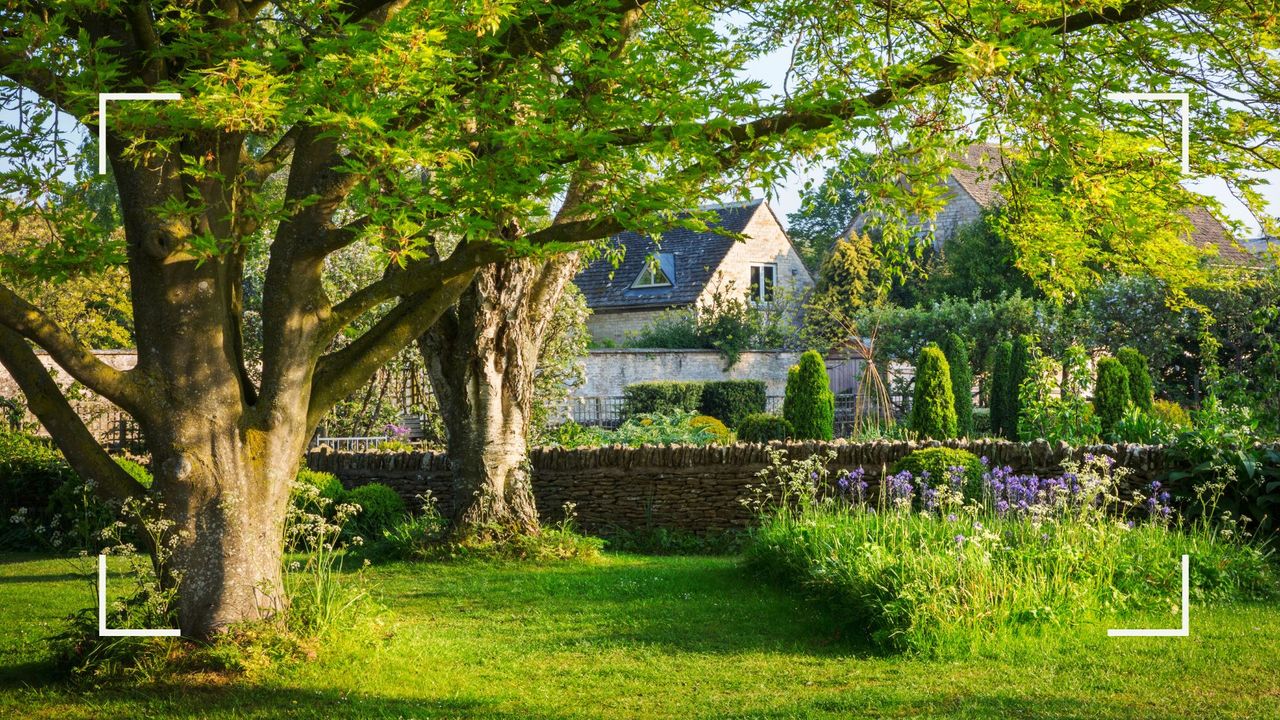 Country house garden with established trees and flower beds to highlight garden laws you could be breaking