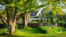 Country house garden with established trees and flower beds to highlight garden laws you could be breaking
