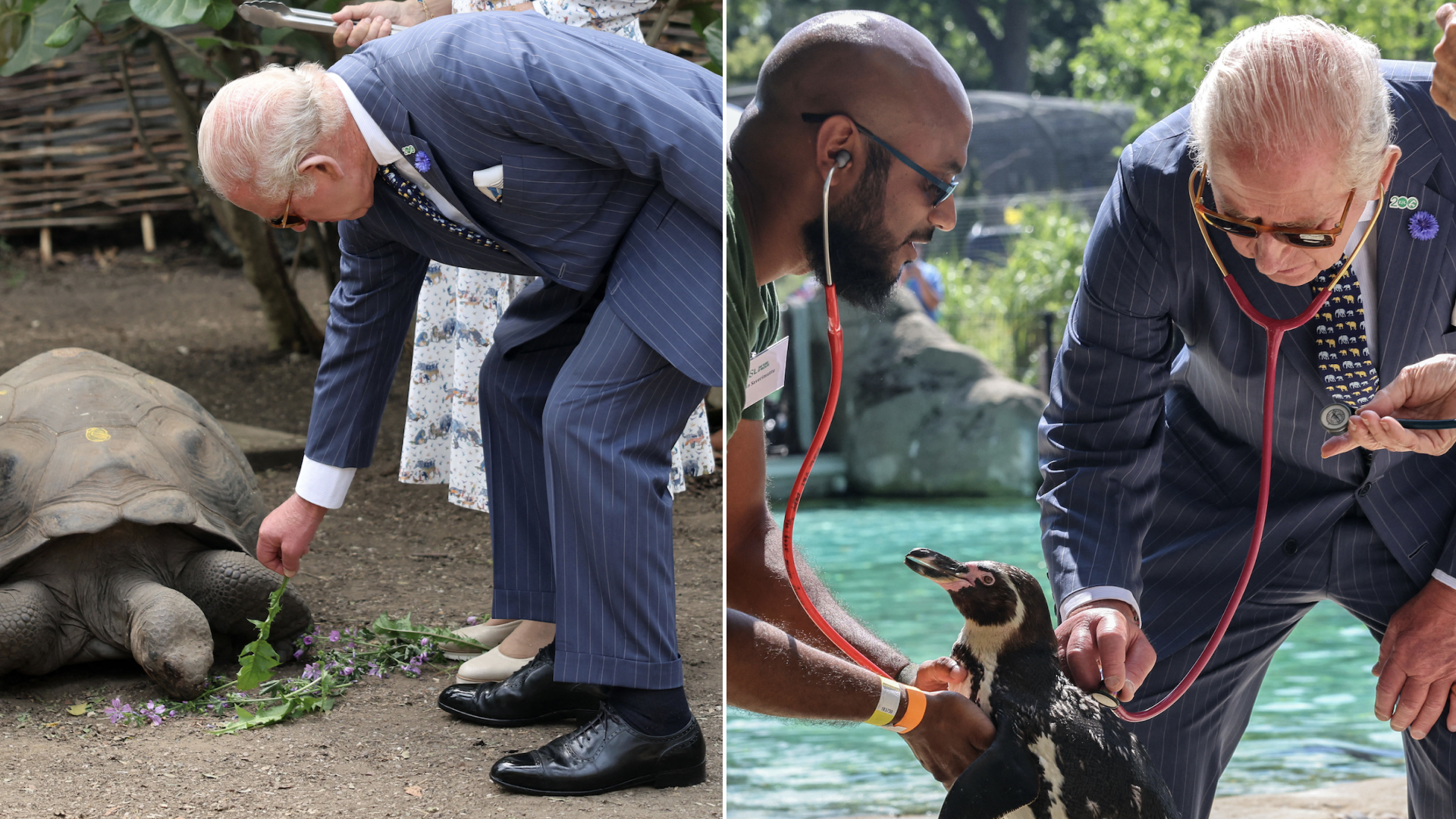 King Charles wears a suit to visit to ZSL London Zoo to celebrate the zoo's 200th anniversary in central London on July 9, 2026