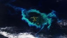 A satellite photo showing a group of islands in the Pacific Ocean with a glowing green ring of algae surrounding them