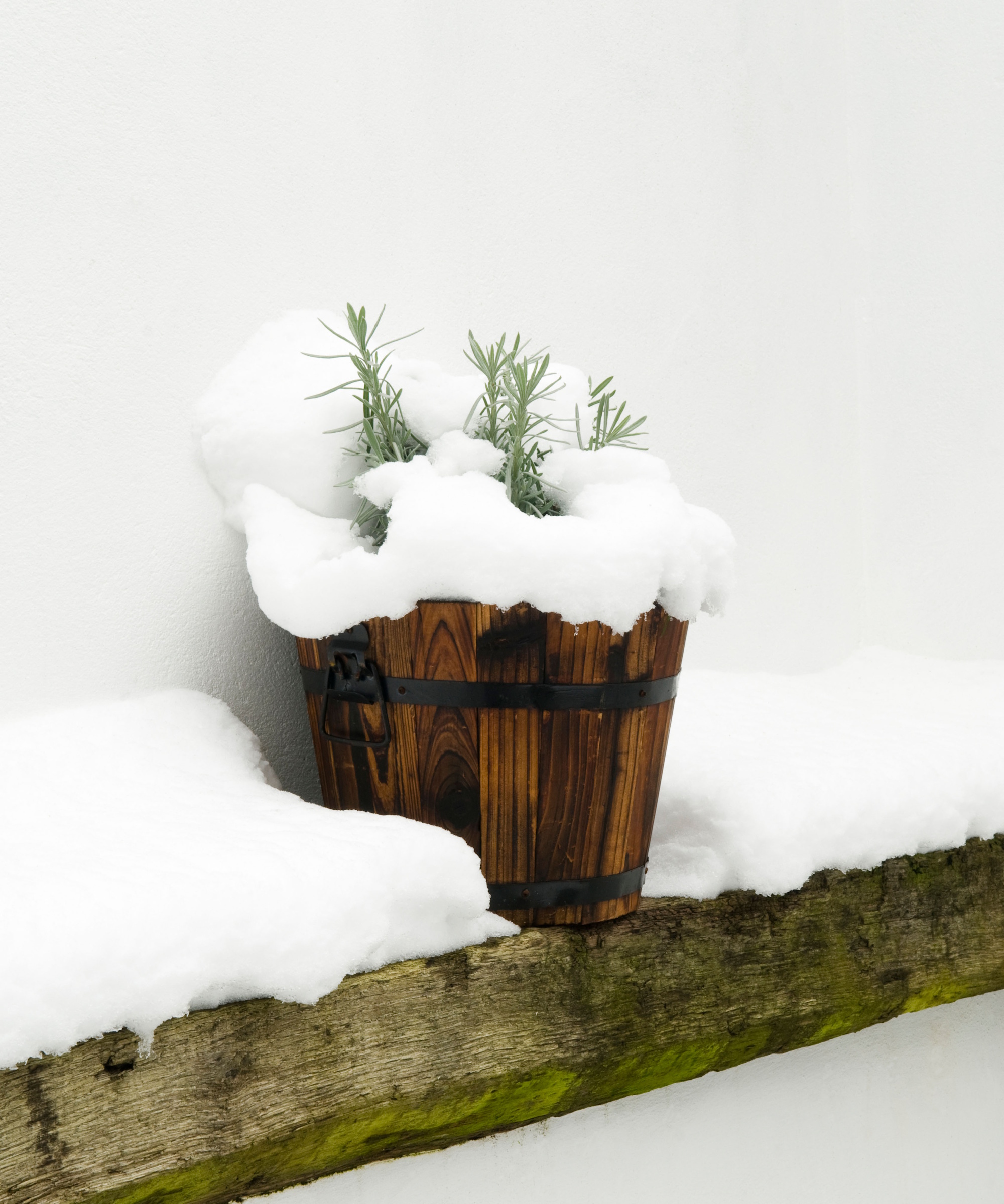 Barrel planter in snow