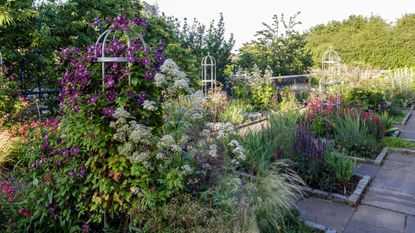 Sensory garden ideas with fragrant flowers