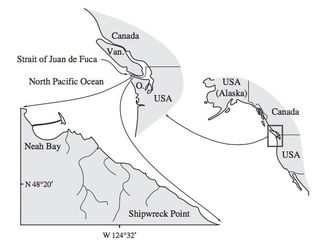 Researchers found the fossil whale off of Washington's Olympic Peninsula, and named the genus after the Strait of Juan de Fuca.