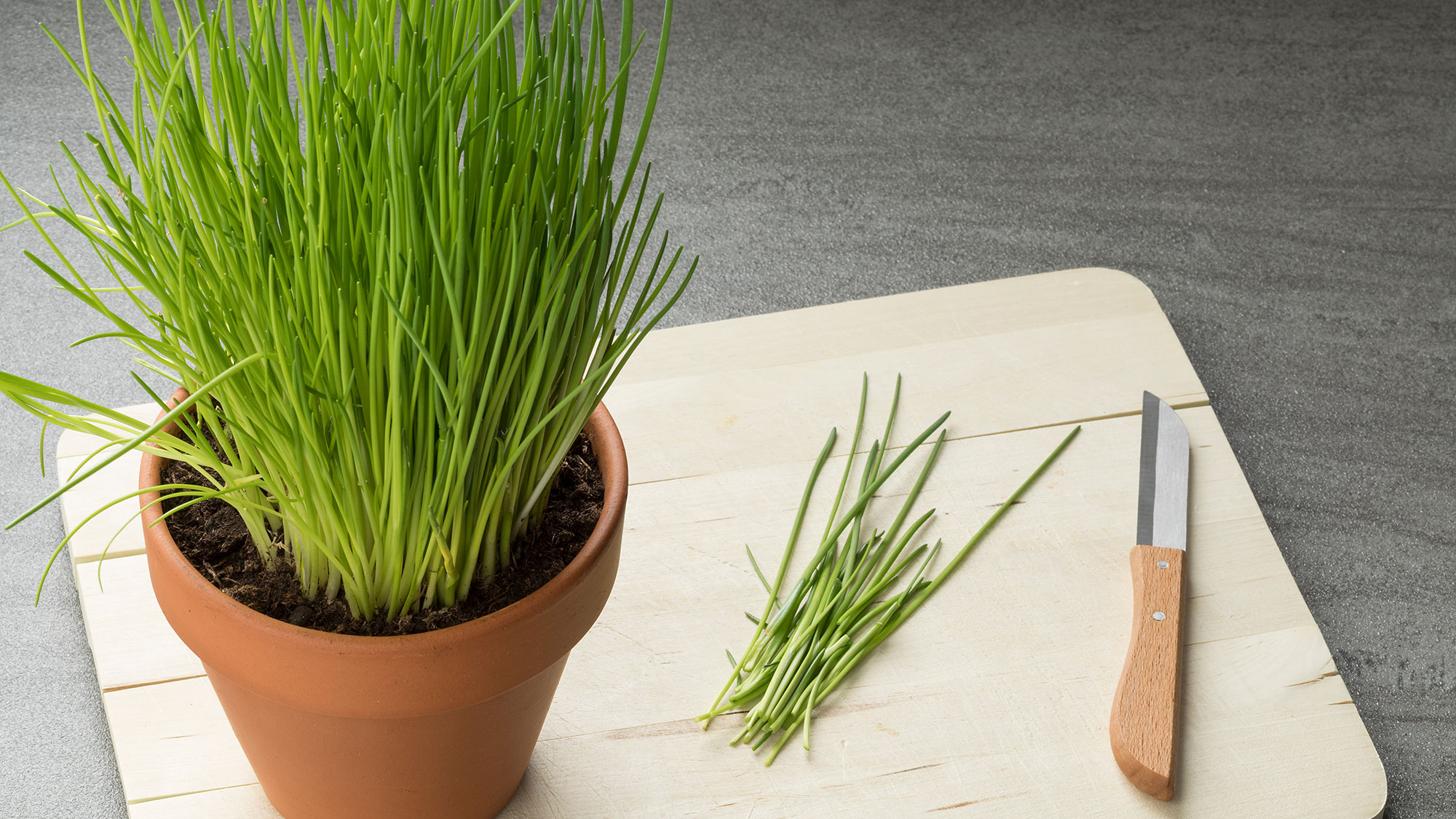 Chives in a terracotta pot on a wooden cutting board