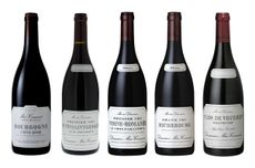 Domaine-Méo-Camuze Wines
