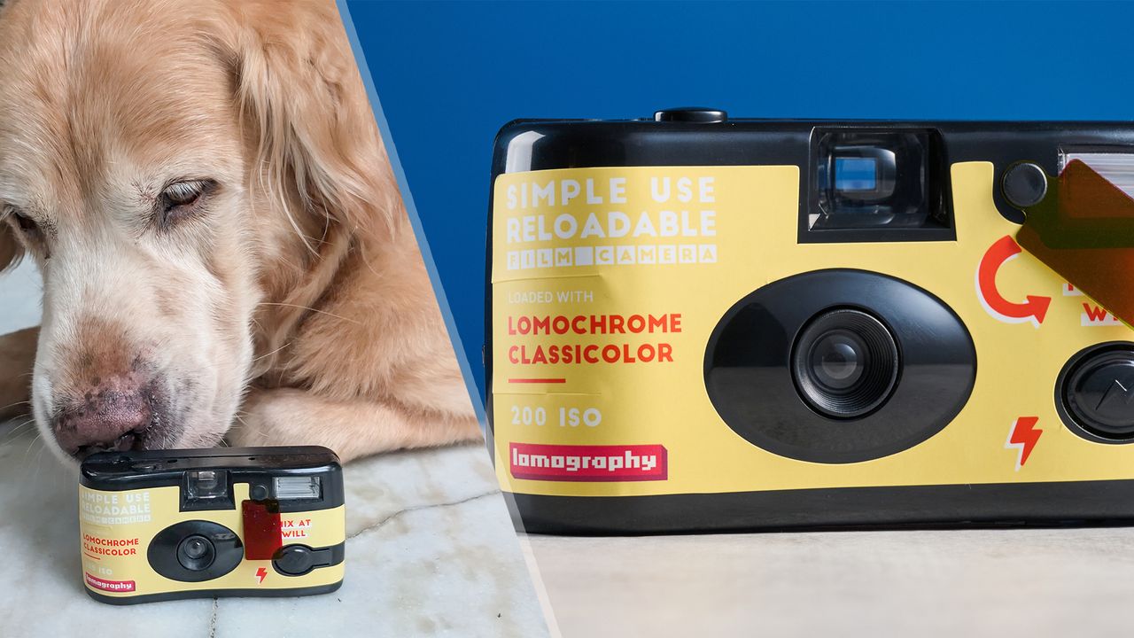 Lomography Simple Use: A prova de que você não precisa gastar muito para ter fotos com charme retrô