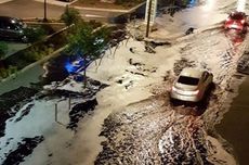 wine terrorists, crav, sete