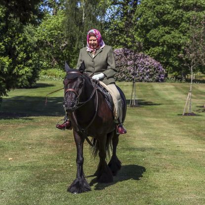 windsor, england may issue date sunday may 31, queen elizabeth ii rides balmoral fern, a 14 year old fell pony, in windsor home park over the weekend of may 30 and may 31, 2020 in windsor, england the queen has been in residence at windsor castle during the coronavirus pandemic photo by steve parsons wpa poolgetty images